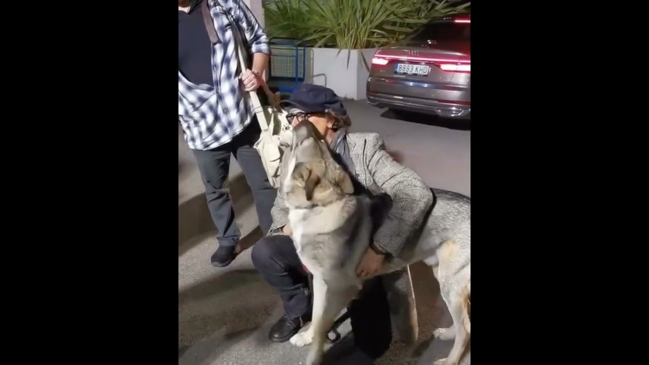 2021 09 24 Johnny Depp with Jack the Dog at Biarritz Airport