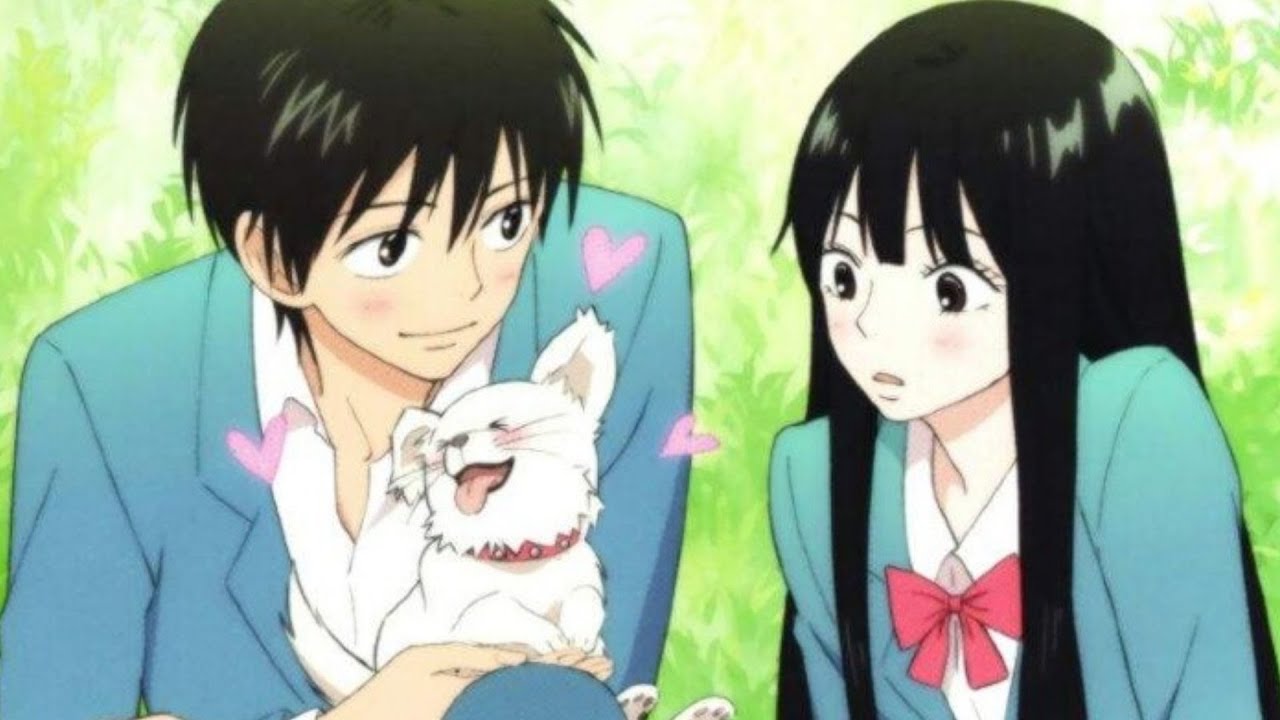 Kimi ni Todoke Regresara Con Una Tercera Temporada En 2024 YouTube