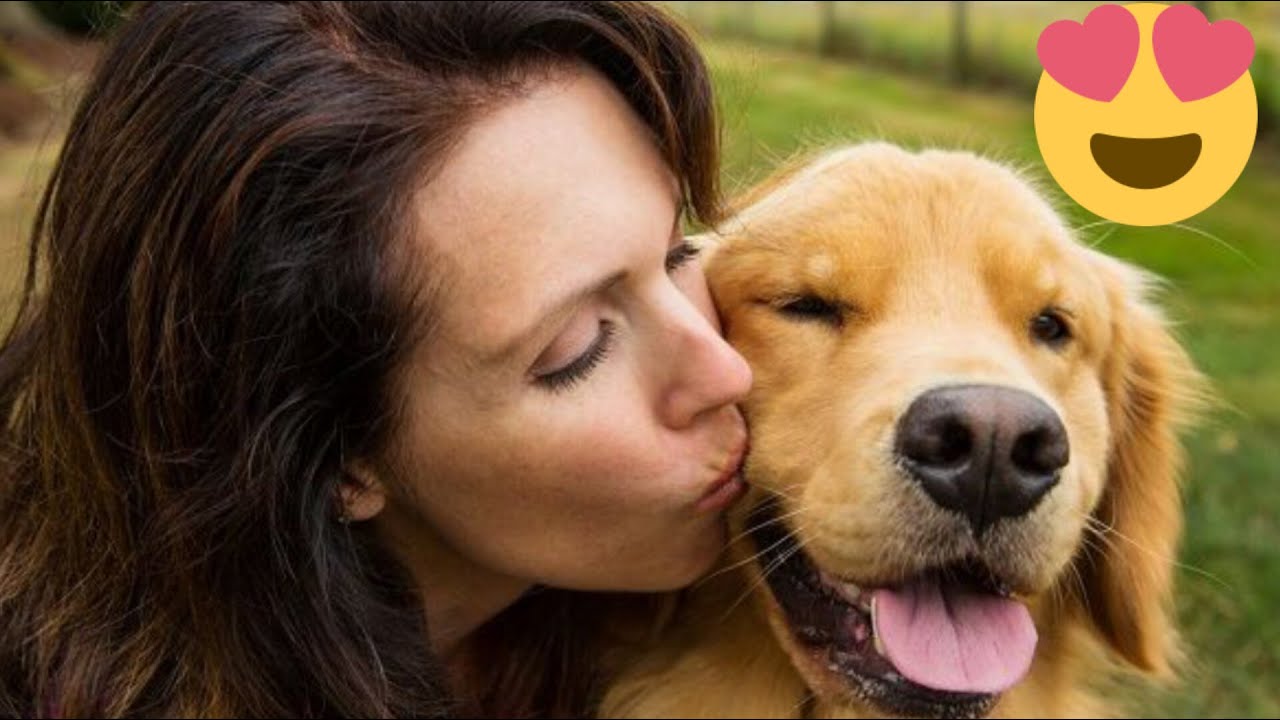 девушка с лабрадором. фотосессия с собачкой. собаке женщине подойдет. женщина с собакой. женщина с лицом собаки.