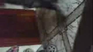 IgóòR rebolation Aprendiz