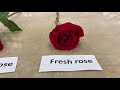Ipopu real touch artificial flower