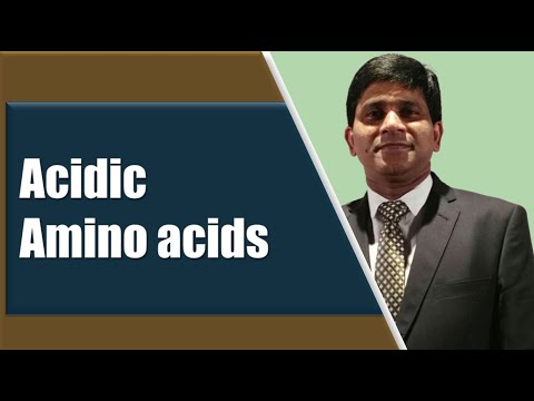 Acidic amino acids: Structure and functions: Protein chemistry