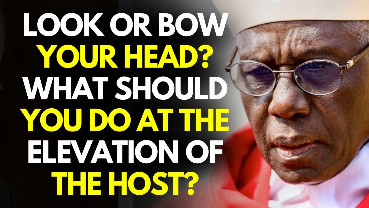 Look or Bow Your Head? What Should You Do at the Elevation of the Host?