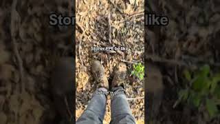 Wildlife Responding To Prescribed Fire - Burning Invasive Plants