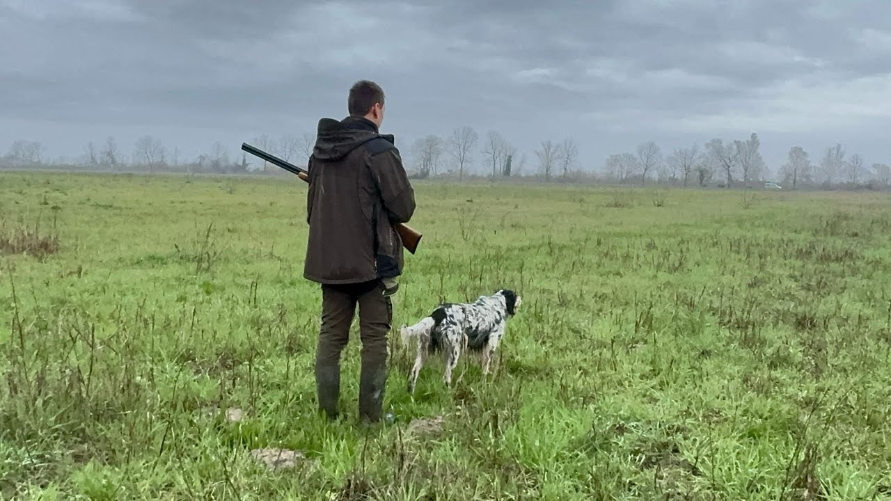 Caccia in calibro 28