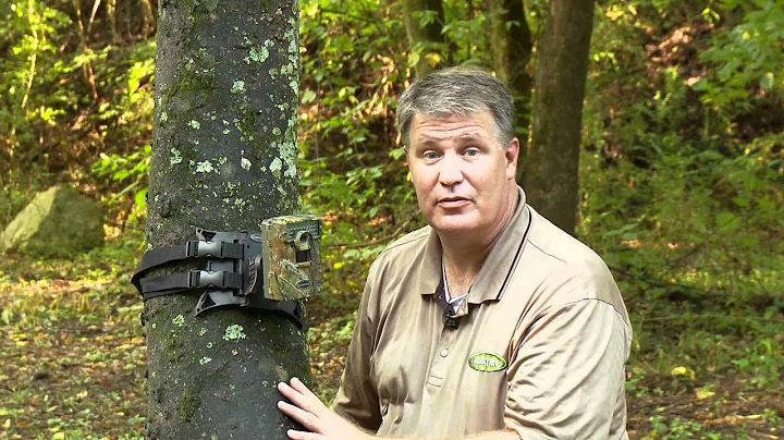 Using the Moultrie camera tree mount