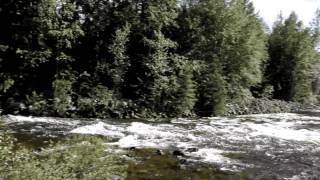 Équipe Amyco Été 2010 Amyco Wild Mushroom Team Summer 2010.Avi