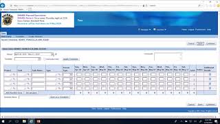 Information Creating and Submitting a DMHRSi Timecard Guide