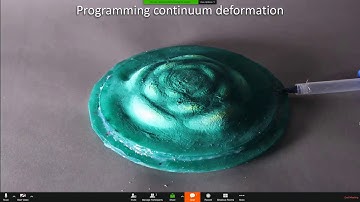 15 Embodied Energy for Enduring Robots : Robert Shepherd : SCF2019