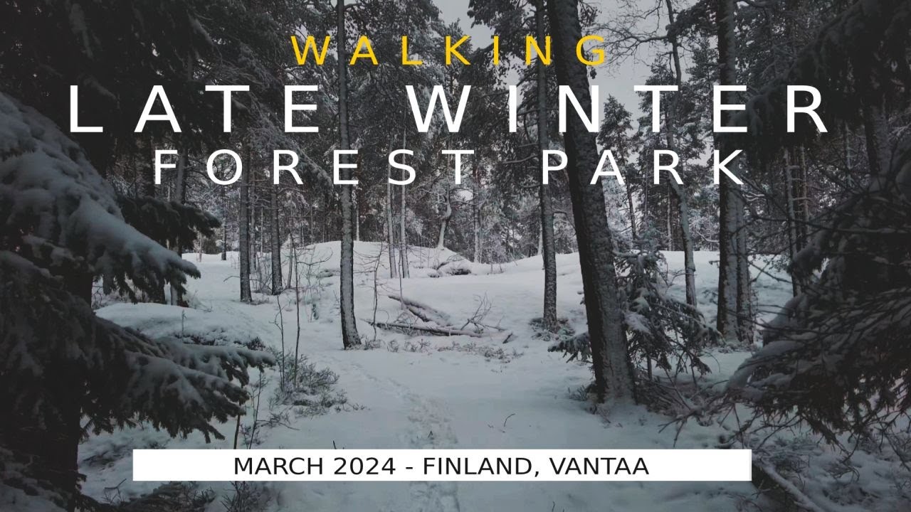 Walk in Finnish Late Winter Nature Trail, March 2024, Vantaa [4K] 