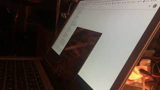 Jerry August - Blackwater David Sylvian, Rain Tree Crow