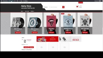 Alpha Store - Theme setup step by step