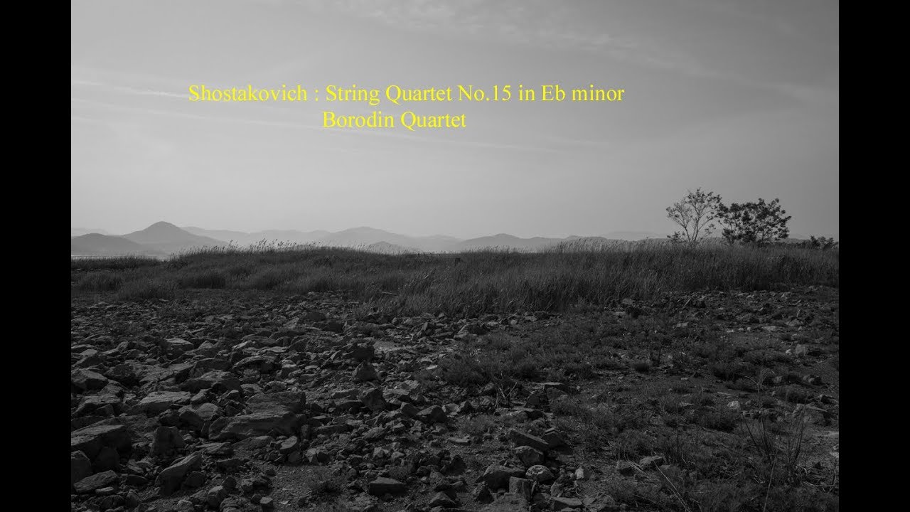 Shostakovich : String Quartet No.15 in Eb minor