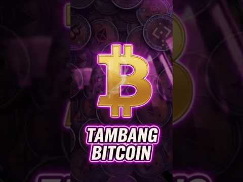 Cara Kerja Mining Bitcoin ⚡💻 | Dalam Ruang Tambang Kripto. #bitcoin #finance