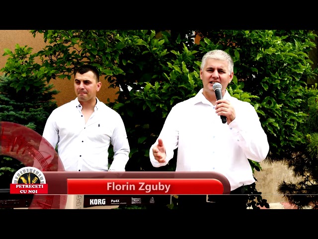 Florin Zguby-Unde s-au dus anii mei + Zice unul altu class=