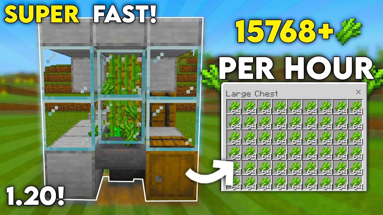 BEST 1.20 AUTOMATIC SUGARCANE FARM TUTORIAL IN MINECRAFT BEDROCK (MCPE ...