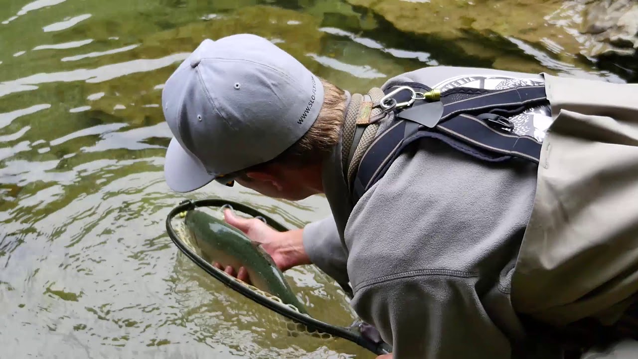 Fly Fishing Idrijca - Slovenia