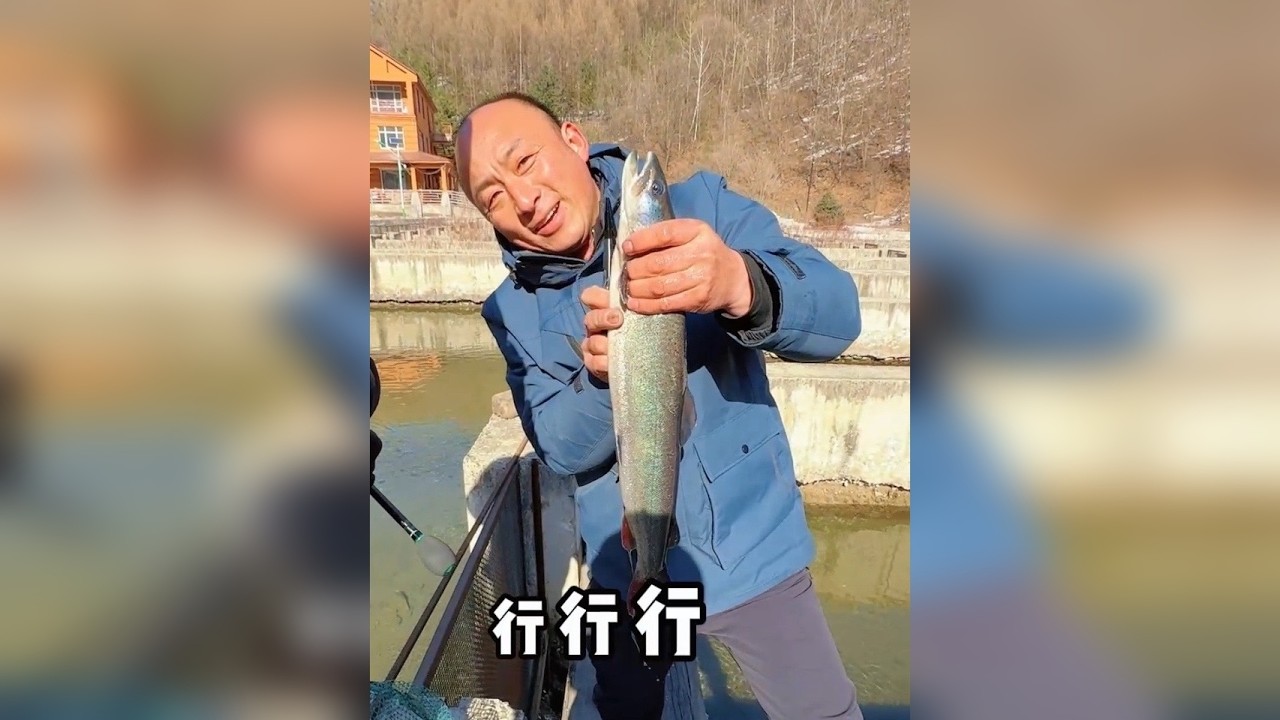 泡子里的鱼养了一段时间，今天出来转转，找个好地方，去钓两条哲罗鲑