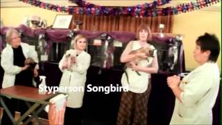 Best In Show Siamese Cat at Trans Pennine Cat Show 2011