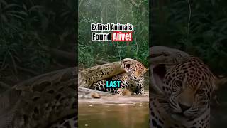 5 Animals We Thought Were Extinct… Until We Found Them