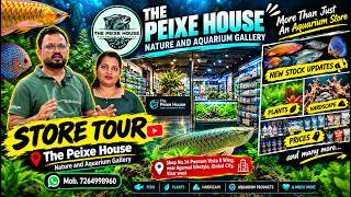Full The Peixe House Aquarium Tour | NEW FISH STOCK, PLANTS, HARDSCAPE & PRICES! Guide