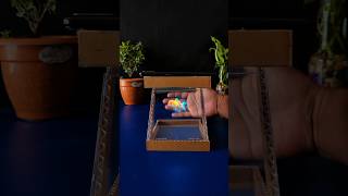 Transparent 3D projector #youtubeshorts #scienceproject #viral #creativefest #3D #hologramprojector