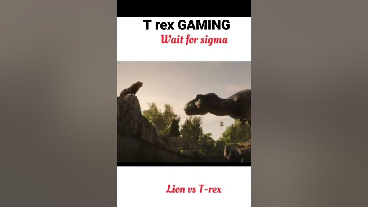 Don t Afraid Anyone YouTube don-t-afraid-anyone-youtube