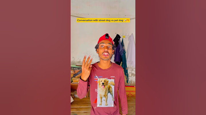 Conversation with street dog vs pet dog 🐶🥺 #shorts #shortfeed