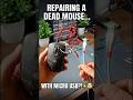 Repairing a Dead Mouse with USB…