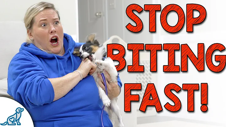 The Calming Technique to STOP Puppy Biting FAST