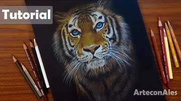 Cómo dibujar un TIGRE con fondo negro