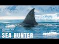 Ocean Hunters | The Massive Predators That Rule the Deep