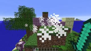 1.9 Snapshot
