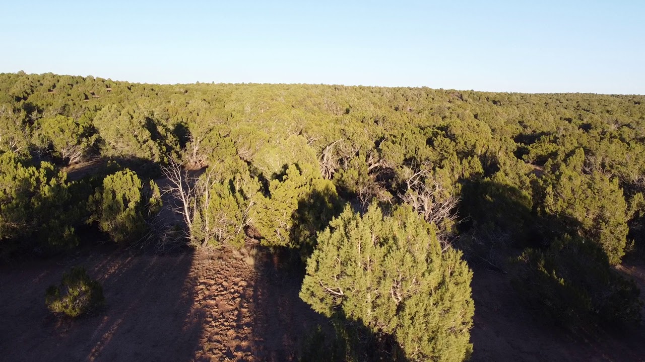 Clay Springs The Farm (to be part 2) YouTube