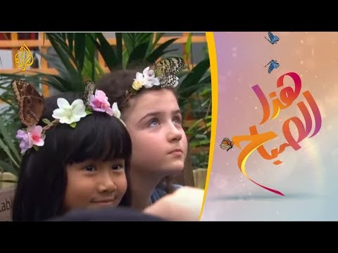🌅  هذا الصباح - دراسات :  أعداد الحشرات تتراجع إلى النصف كل 25 عاما