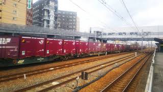 2019/3/16 貨物列車2081レEF210-305号機(吹)牽引