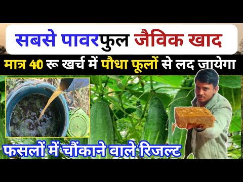 फसलों में डाले ये खाद जादुई।फल और फूल कभी भी झड़ेगे। मात्र 40 रू खर्च में धांसू खाद।