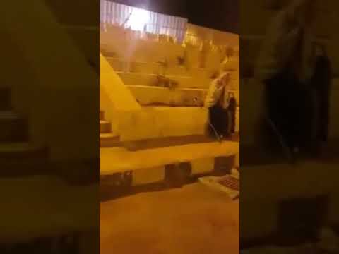 ياحول الله يارب الكلب مات