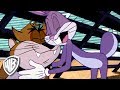 Looney Tunes en Español Latino America | Amor de mascota | WB Kids