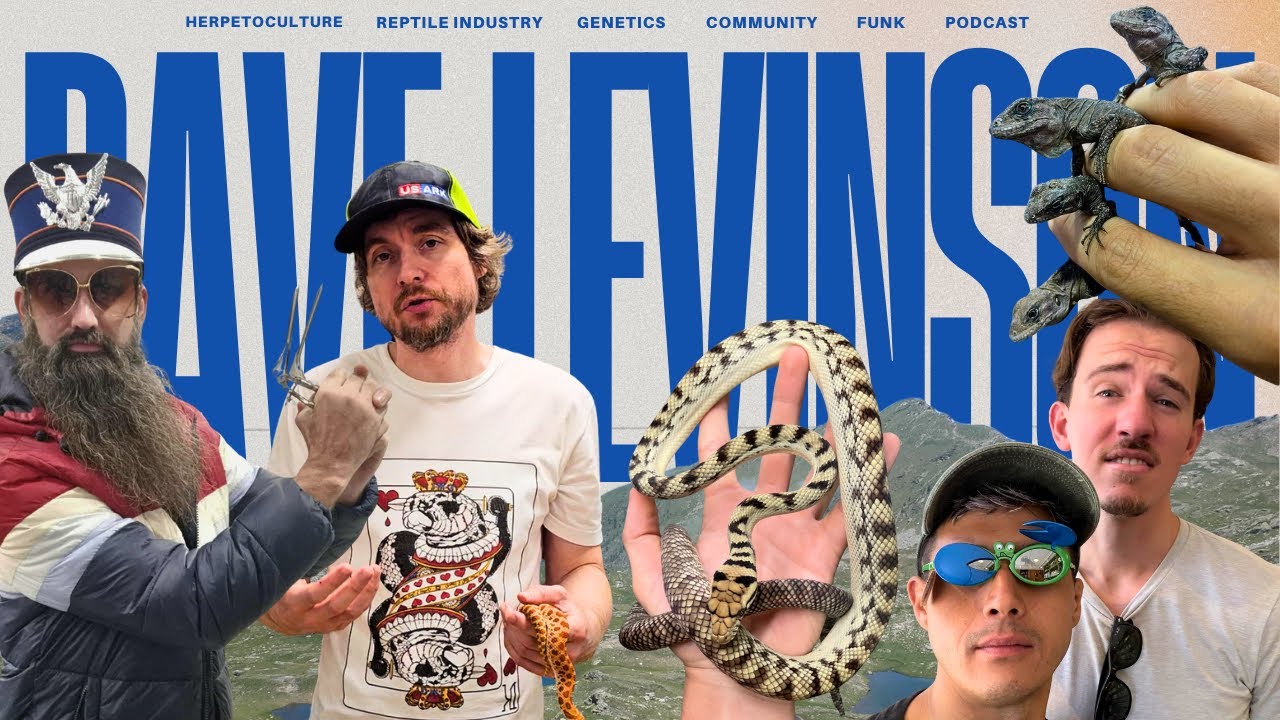 How Weird Can Things Get On Halloween Night | Dave Levinson & JMG Reptile Podcast