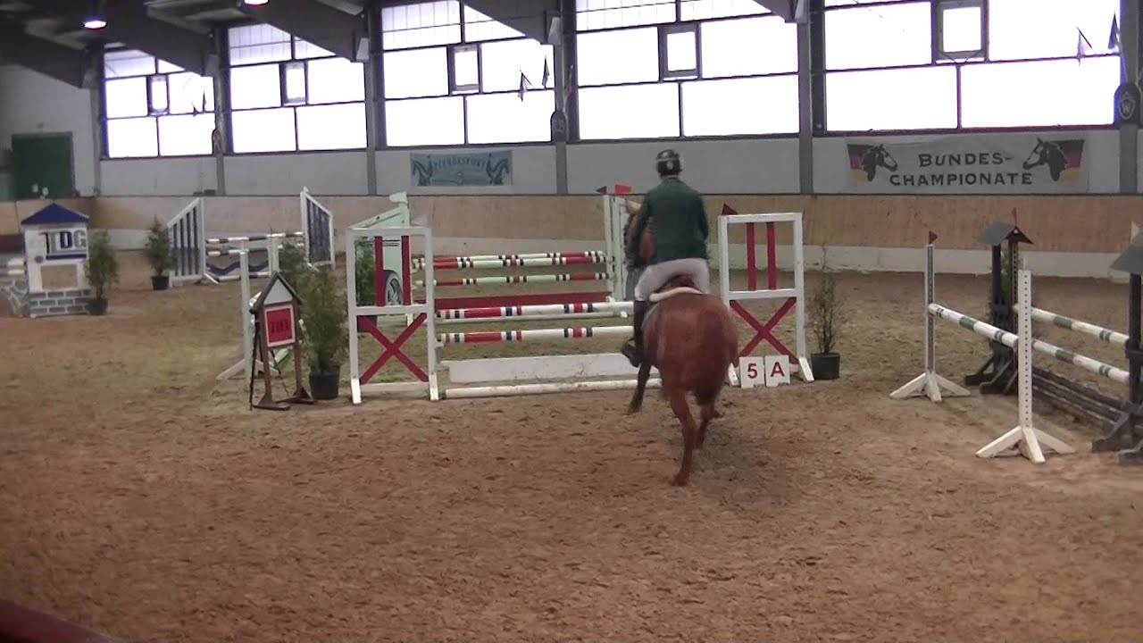 OAK GROVE´S New York