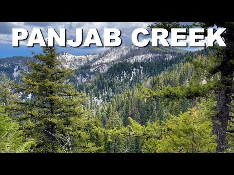 Panjab Creek Wenaha Tucannon Wilderness Washington 