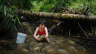 Harvesting Wild Giant Carp in Muddy Forest Stream | Survival Fishing Tips with Bare Hands