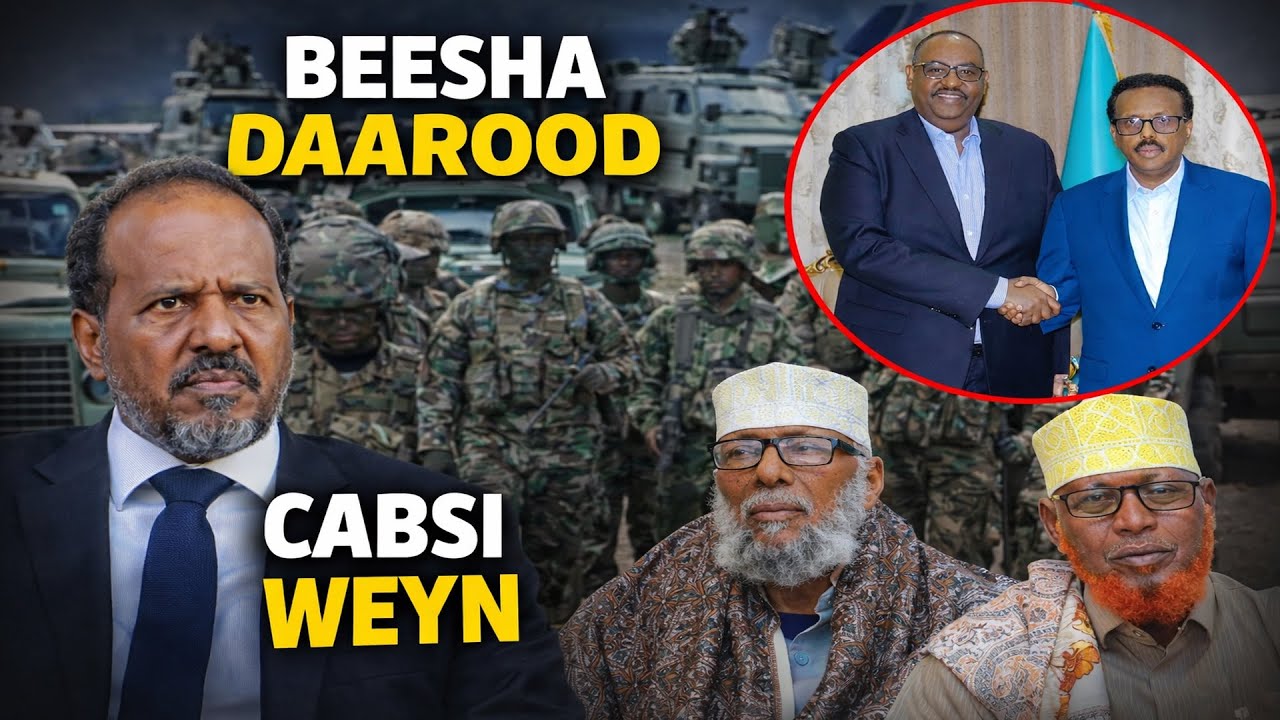 #degdeg:B-DAAROOD oo Wacad ku Martay in ay Xilka ka Tuuri Doonan Xasan sheekh, Farmaajo iyo Dani oo.