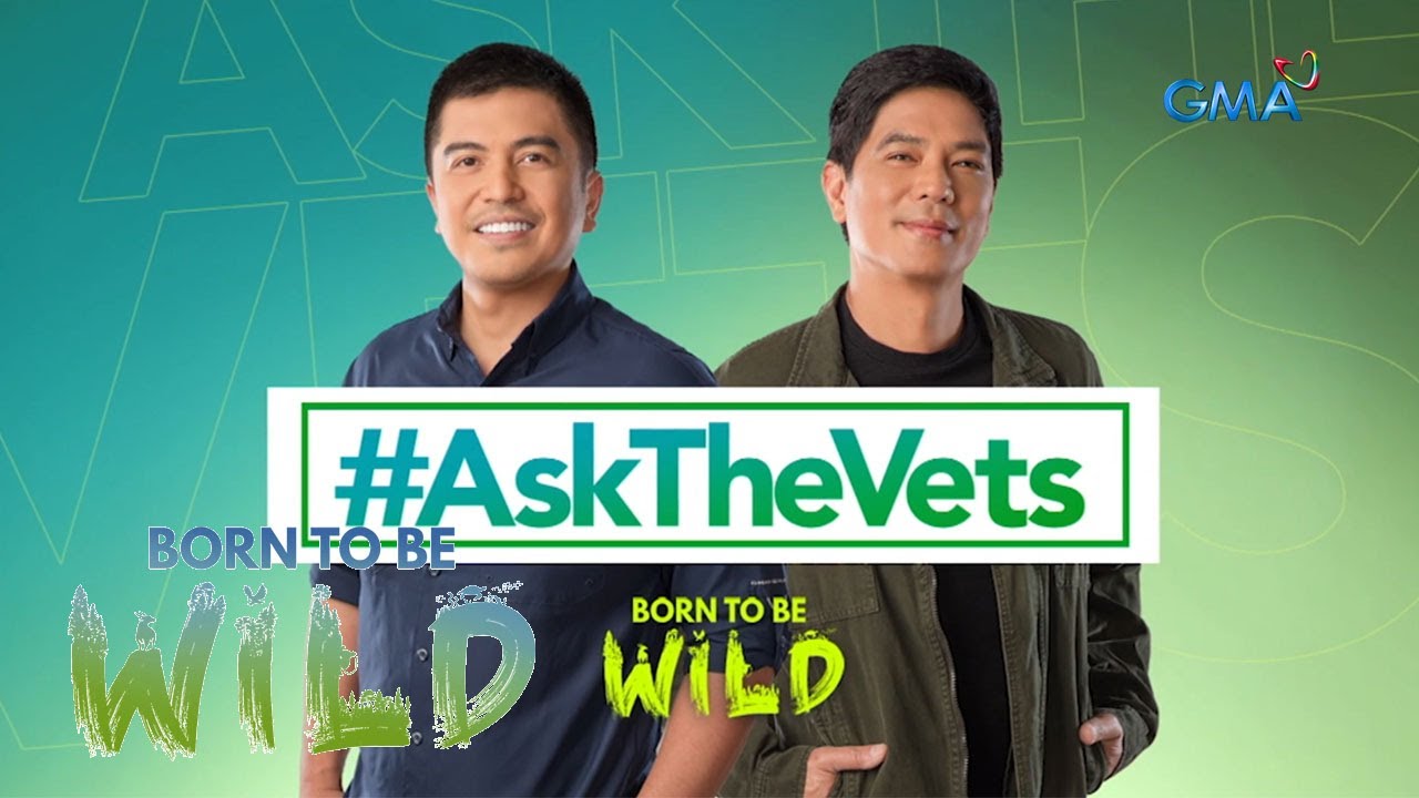 askthevets-with-doc-nielsen-and-doc-ferds-march-12-2023-born-to-be