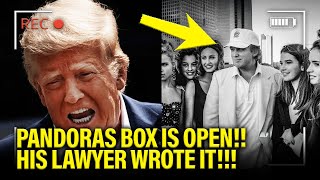 Trump UTTERLY FAILS to BURY HIS PAST with CROOKED PLAN