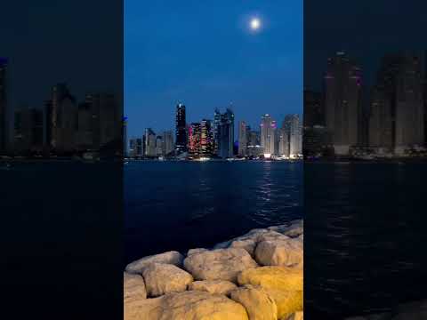 Dubai Marina Skyline #dubai #marina #marinadubai #skyline #dubaishorts # #dubaivlog