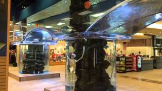 Scheels Sparks, NV