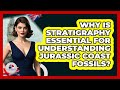 Why Is Stratigraphy Essential For Understanding Jurassic Coast Fossils? - United Kingdom Explorers