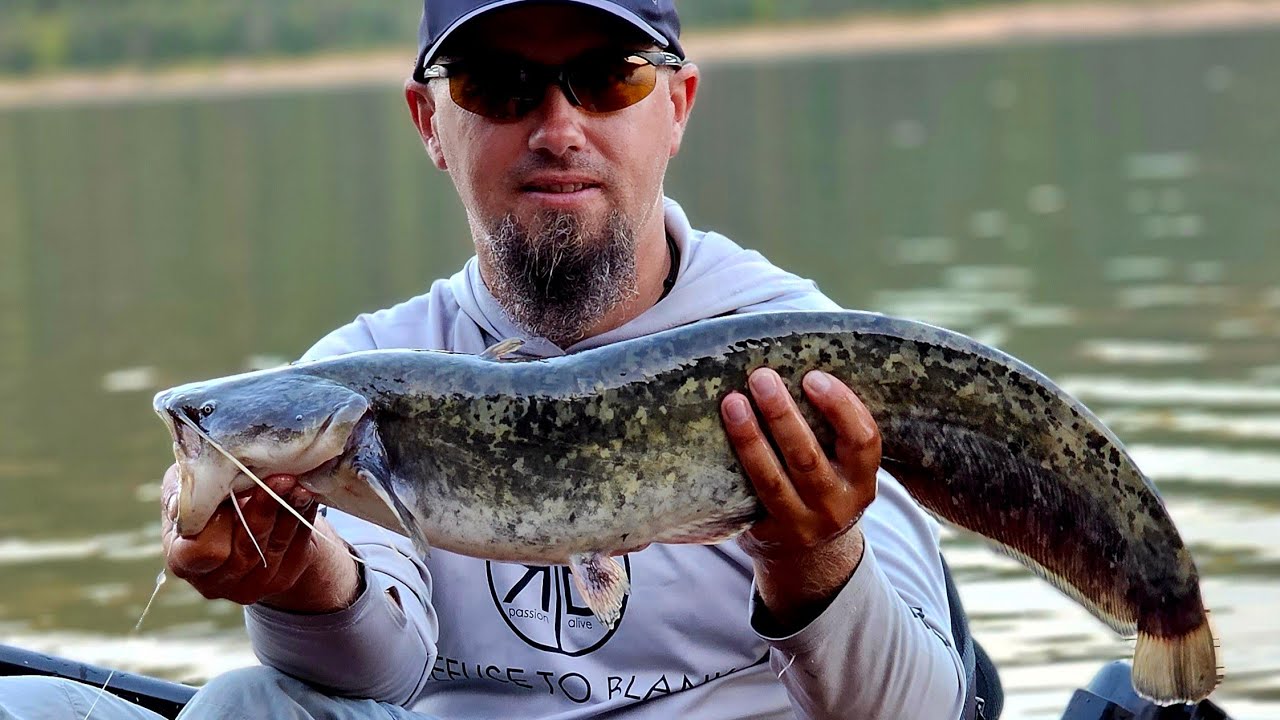 🎣 Cu CAIACUL la PESCUIT 🛶 - O partidă pe un SUPERB BARAJ de MUNTE - Lacul ZETEA